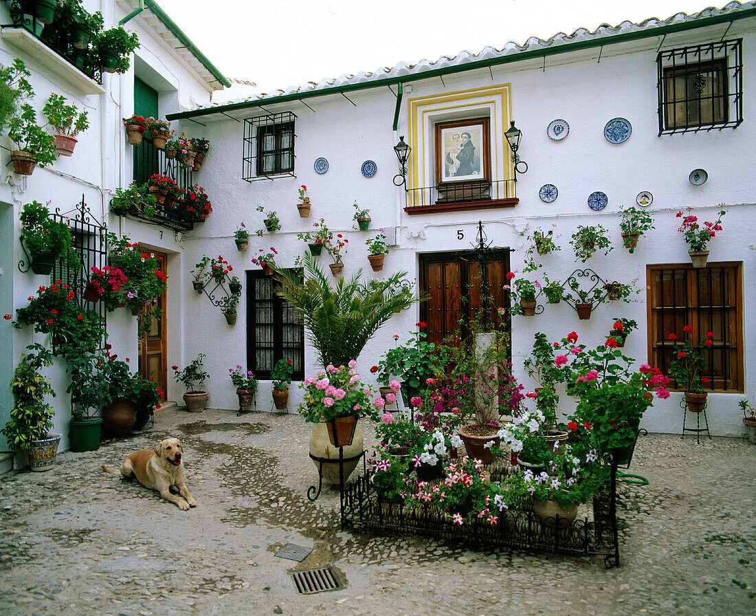 Typical square in Priego de Cordoba. Cordoba province. Andalusia. Spain