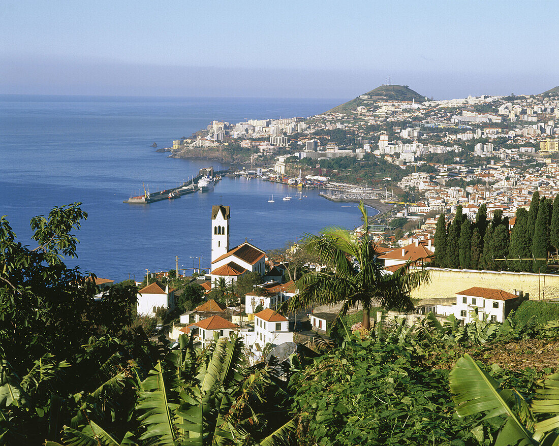 Funchal city in Medeira Island. Portugal