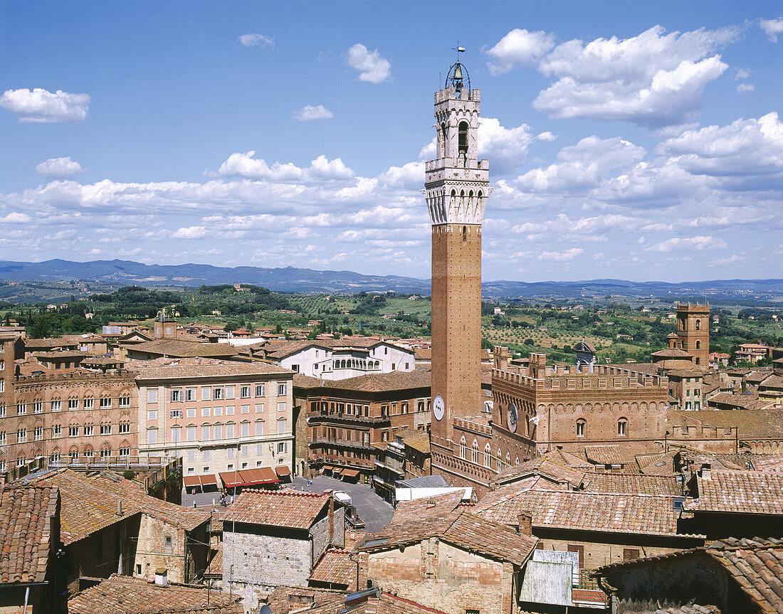 Mangia Tower. Piazza del Campo. Siena. Tuscany. Italy