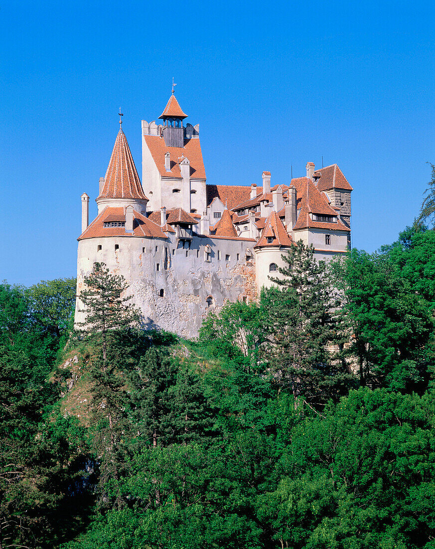 Bran castle (Dracula s Castle). Bran. Romania
