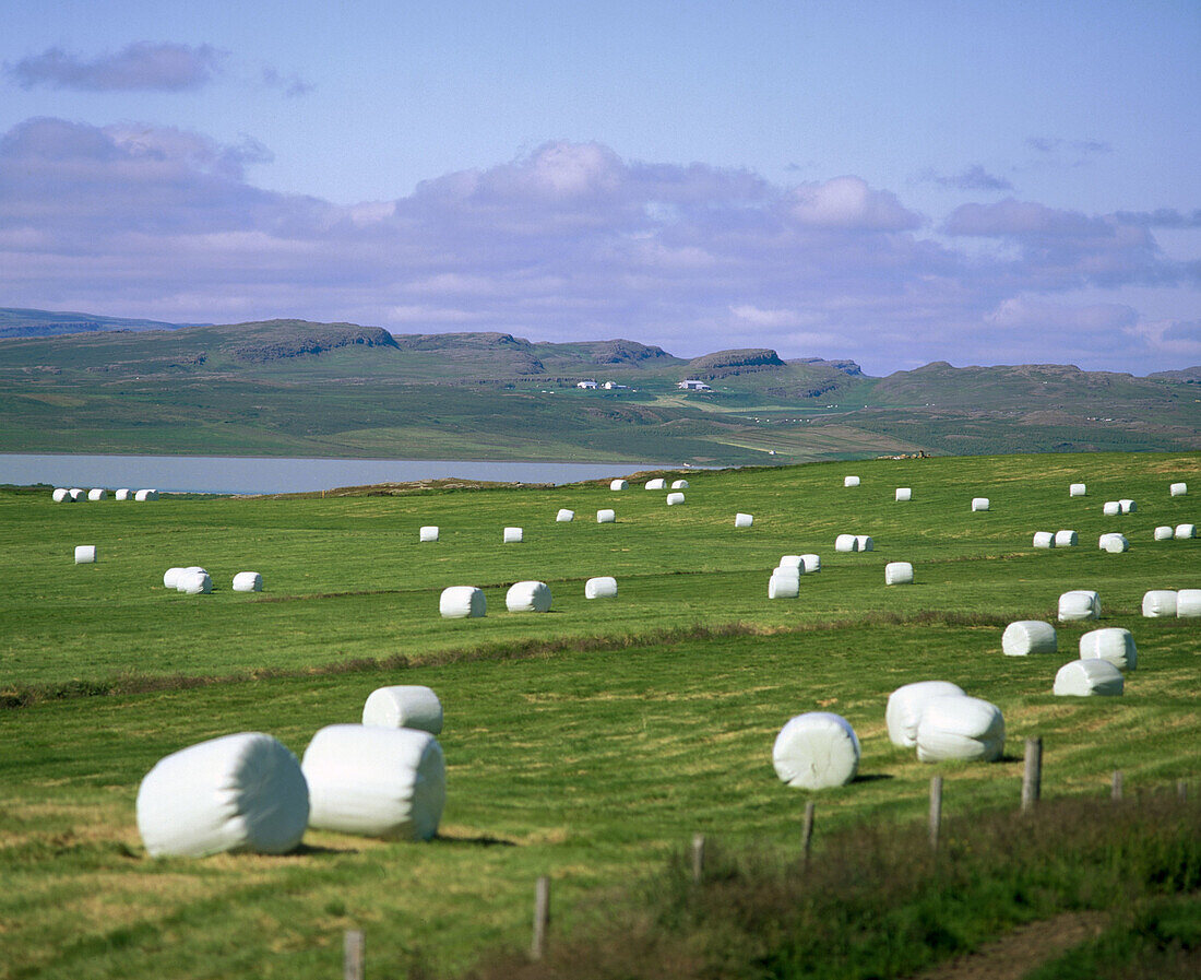 Landscapes in north east Iceland