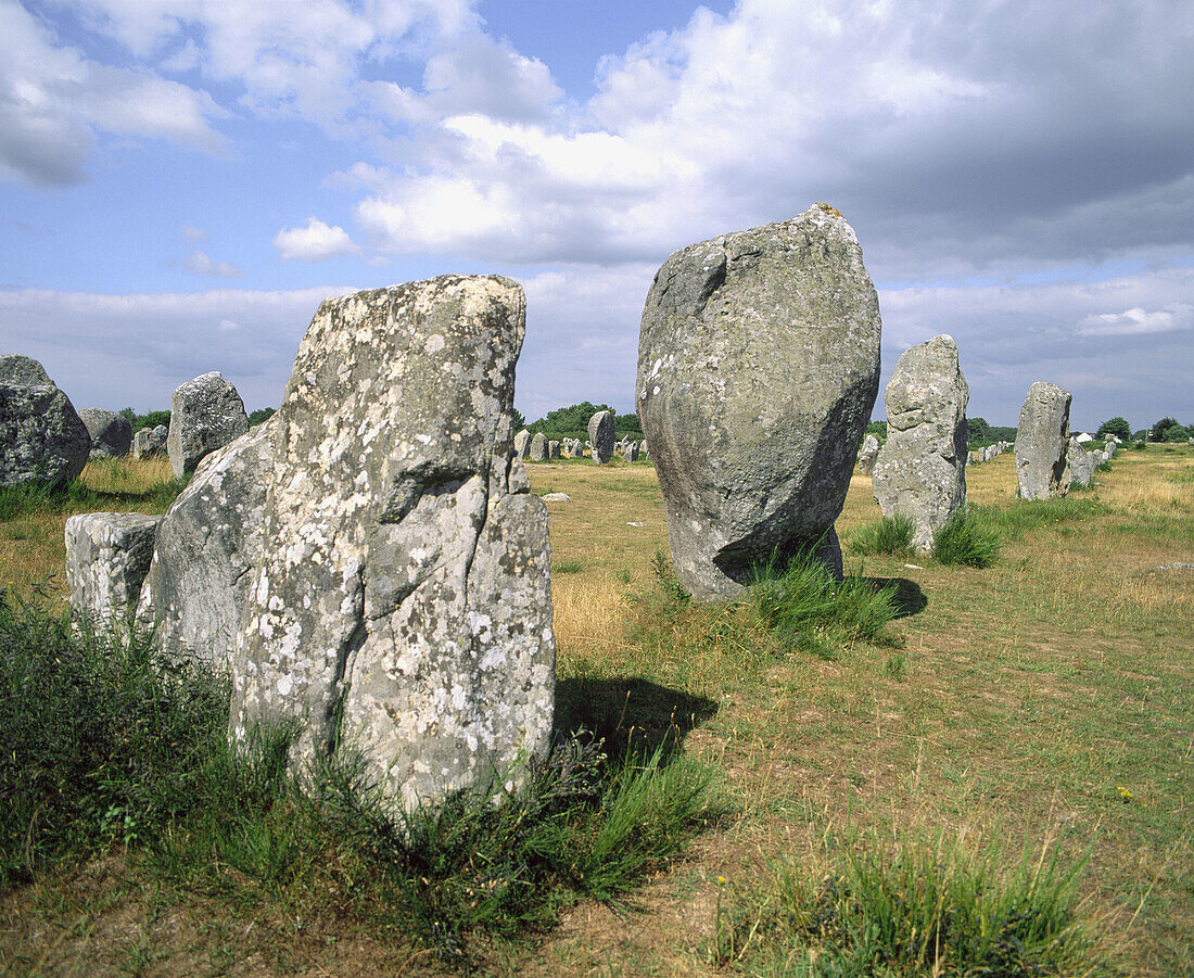 Megalithic stones in Le Menec. Carnac. Britanny. France