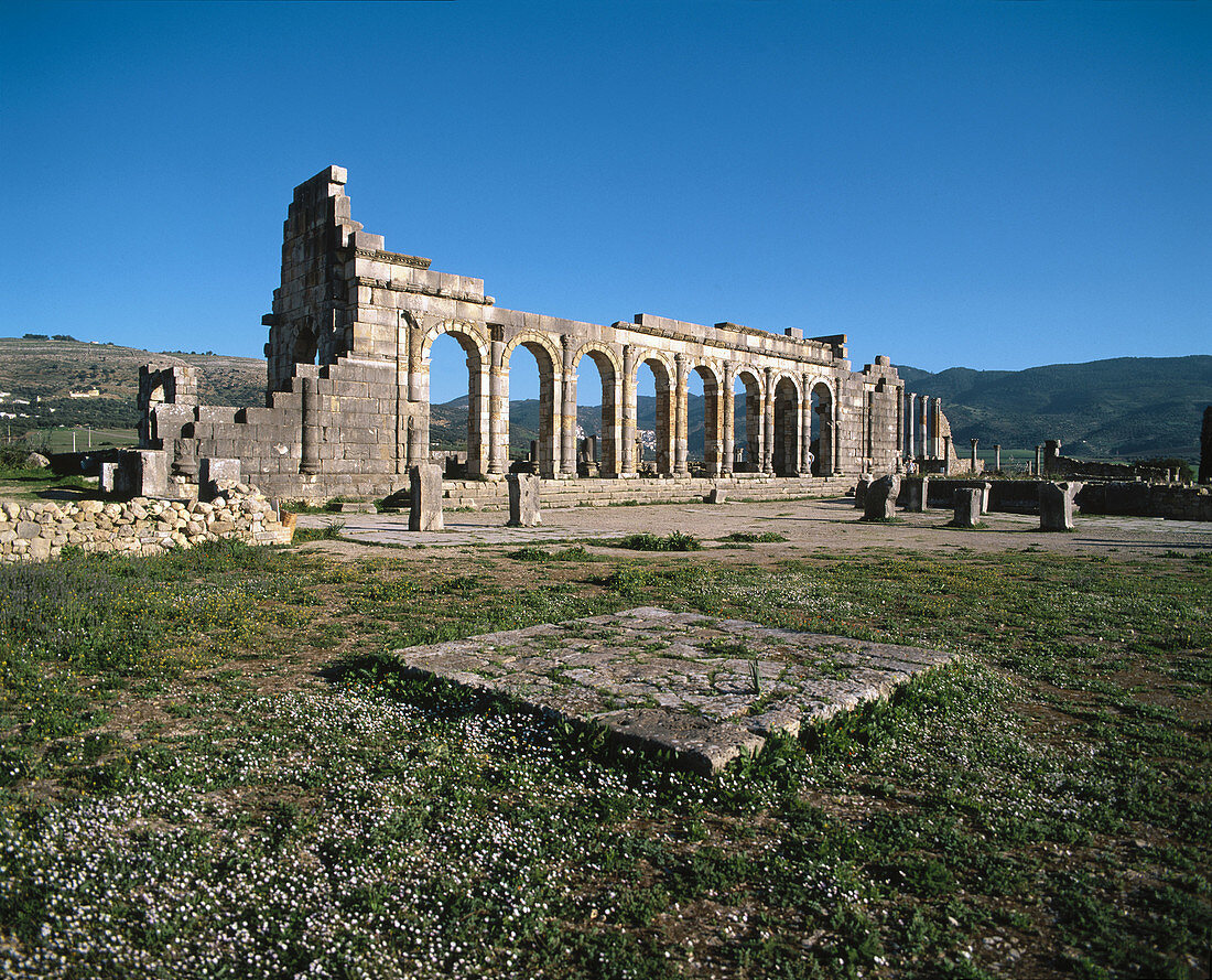 The Basilica, Roman ruins of Volubilis. Morocco