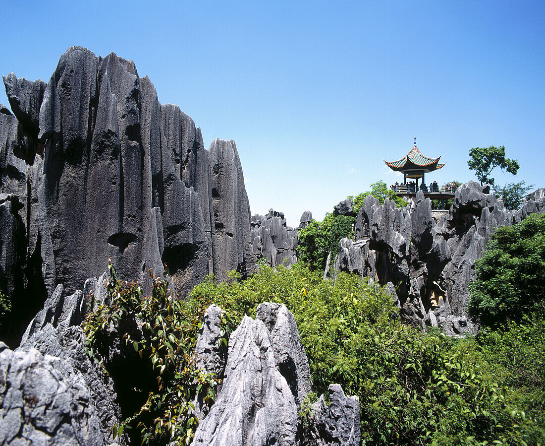 Shilin, Stone Forest Scenic Resort. Yunnan province, China