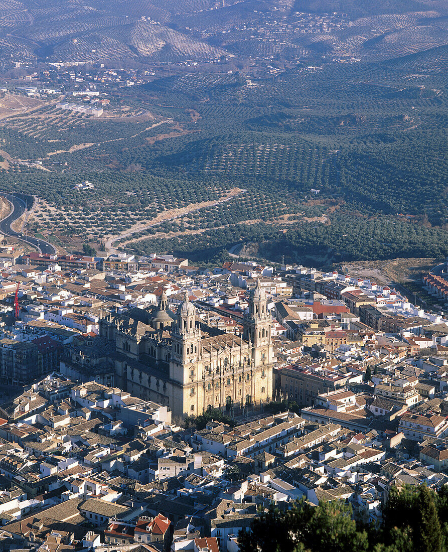 Cathedral, Jaén. Andalusia, Spain