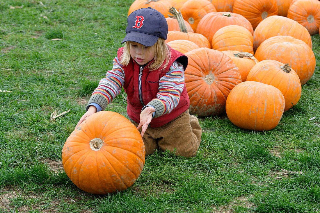 A girl plays with a pumpkin in the Boston public garden, Boston, Massachusetts, USA, ,USA