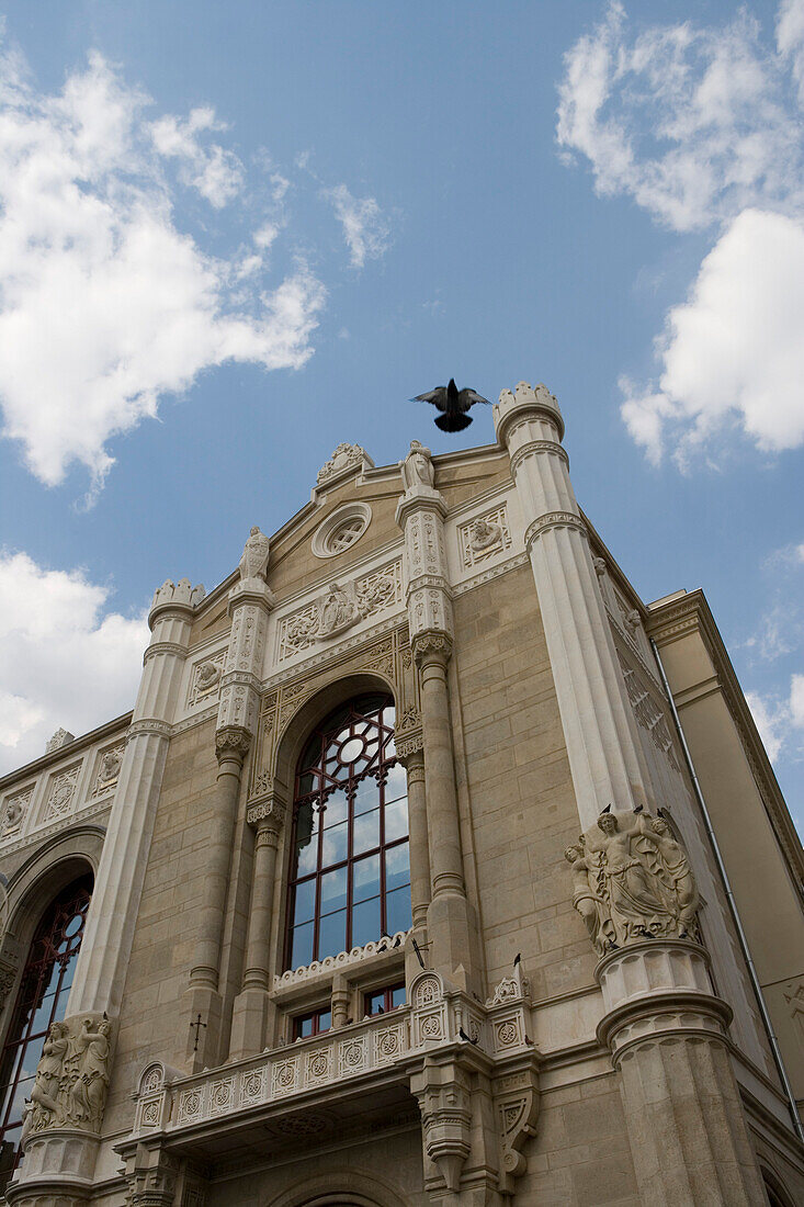 Taube fliegt vor Pester Redoute Konzertsaal, Pest, Budapest, Ungarn, Europa