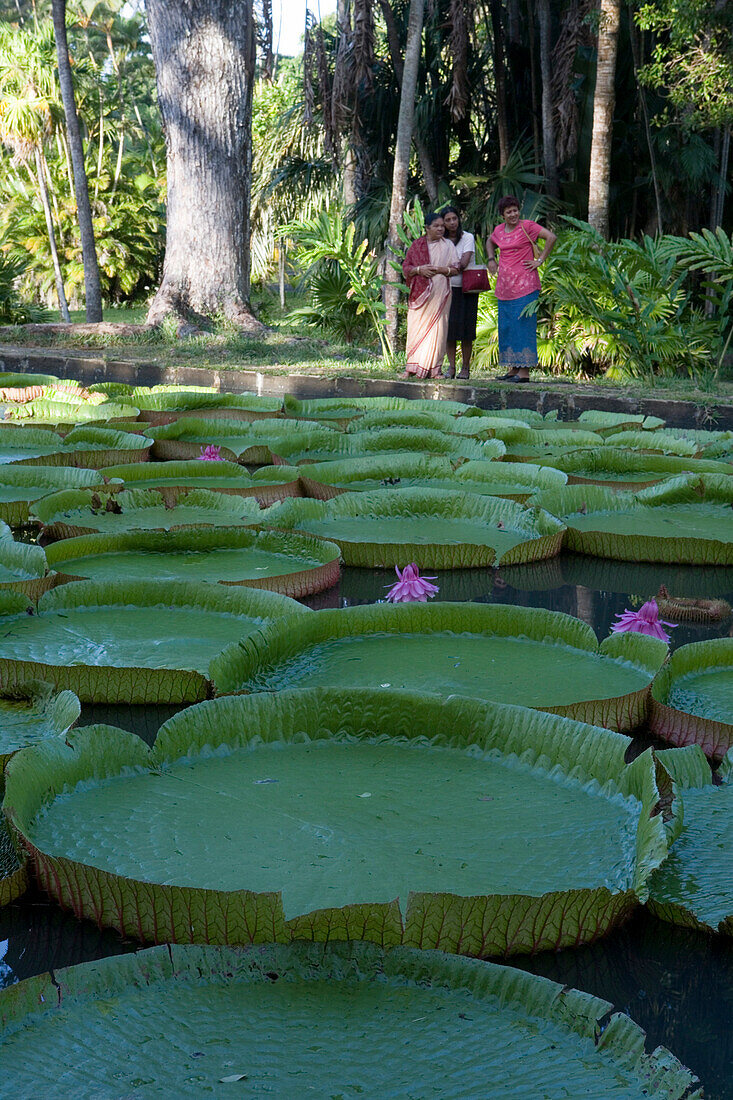 Indische Frauen betrachten Teich mit Wasserlilien (Victoria amazonica), Sir Seewoosagur Ramgoolam Botanischer Garten, Pamplemousses, Pamplemousses District, Mauritius, Indischer Ozean