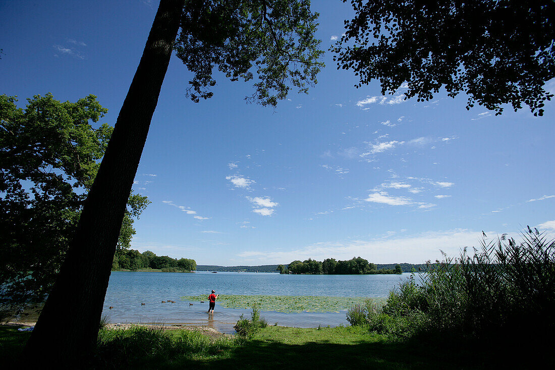 Person standing in Lake Starnberg, view to Rose Island, Bavaria, Germany