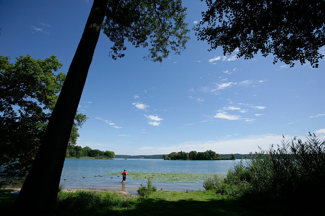 Person steht im Starnberger See, Blick zur Roseninsel, Bayern, Deutschland