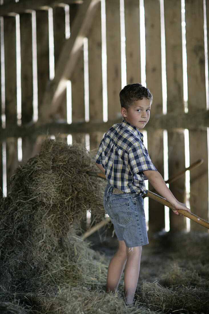 Boy (8-9 years) in hay, Walchstadt, Upper Bavaria, Bavaria, Germany, MR