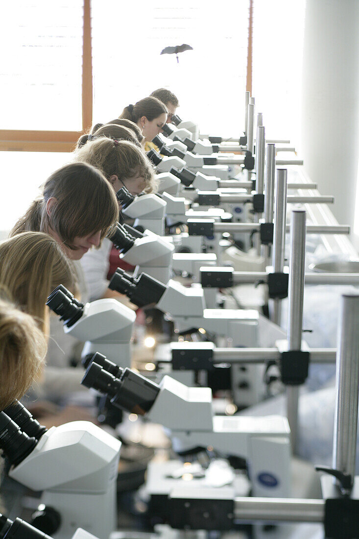 Studenten im zoologischen Anfängerpraktikum, Biozentrum der LMU, Ludwig Maximilians Universität, Martinsried, München, Bayern, Deutschland