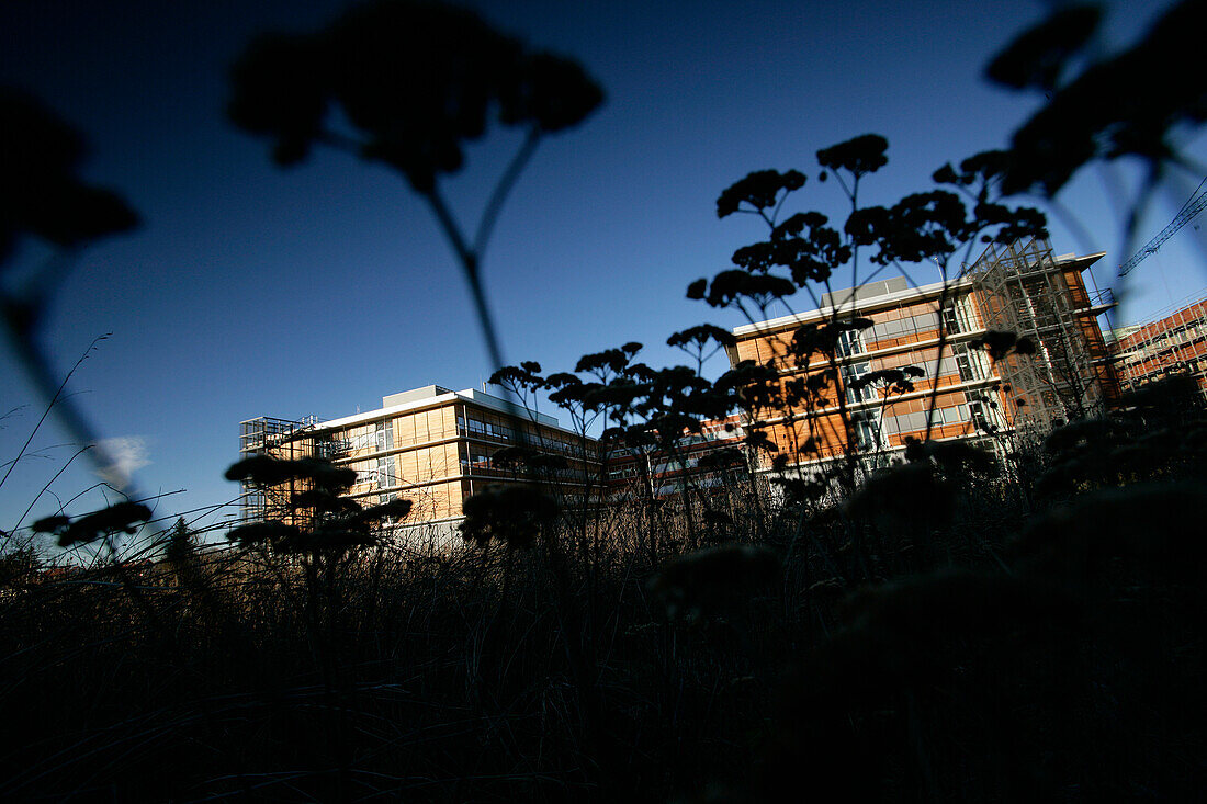 Biozentrum der Ludwig-Maximilians-Universität (LMU), Martinsried, Planegg, Bayern, Deutschland