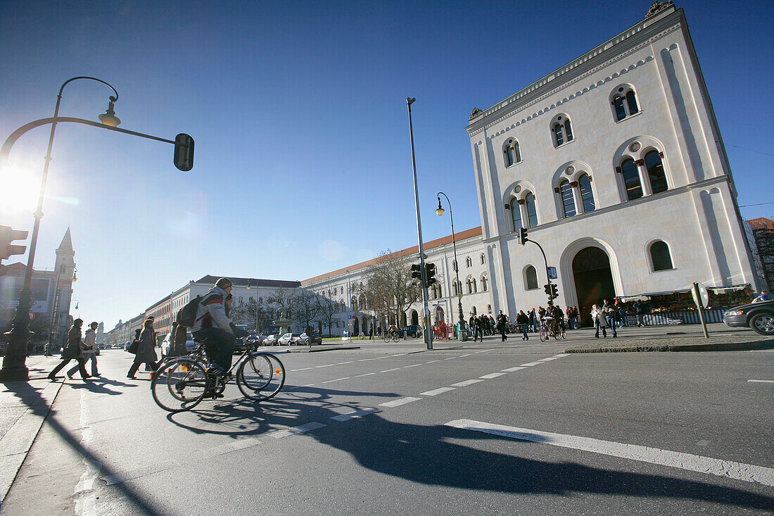 View over street Ludwigstrasse to main building of the Ludwig-Maximilians-University, Munich, Bavaria, Germany