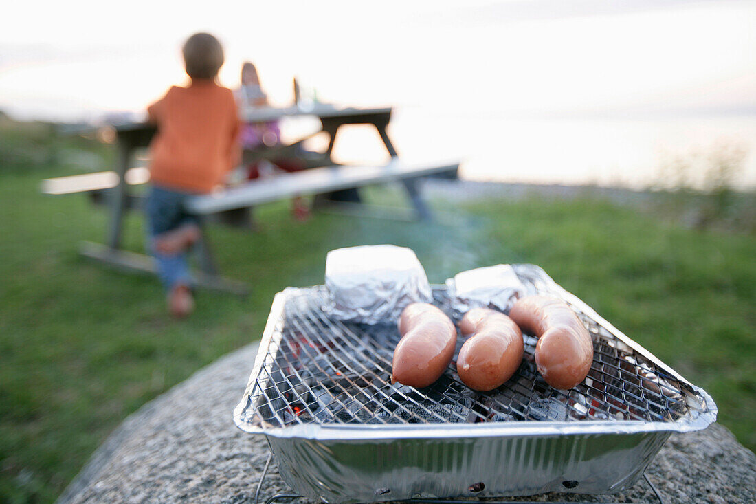 Barbecue at lake Staffelsee, Bavaria, Germany