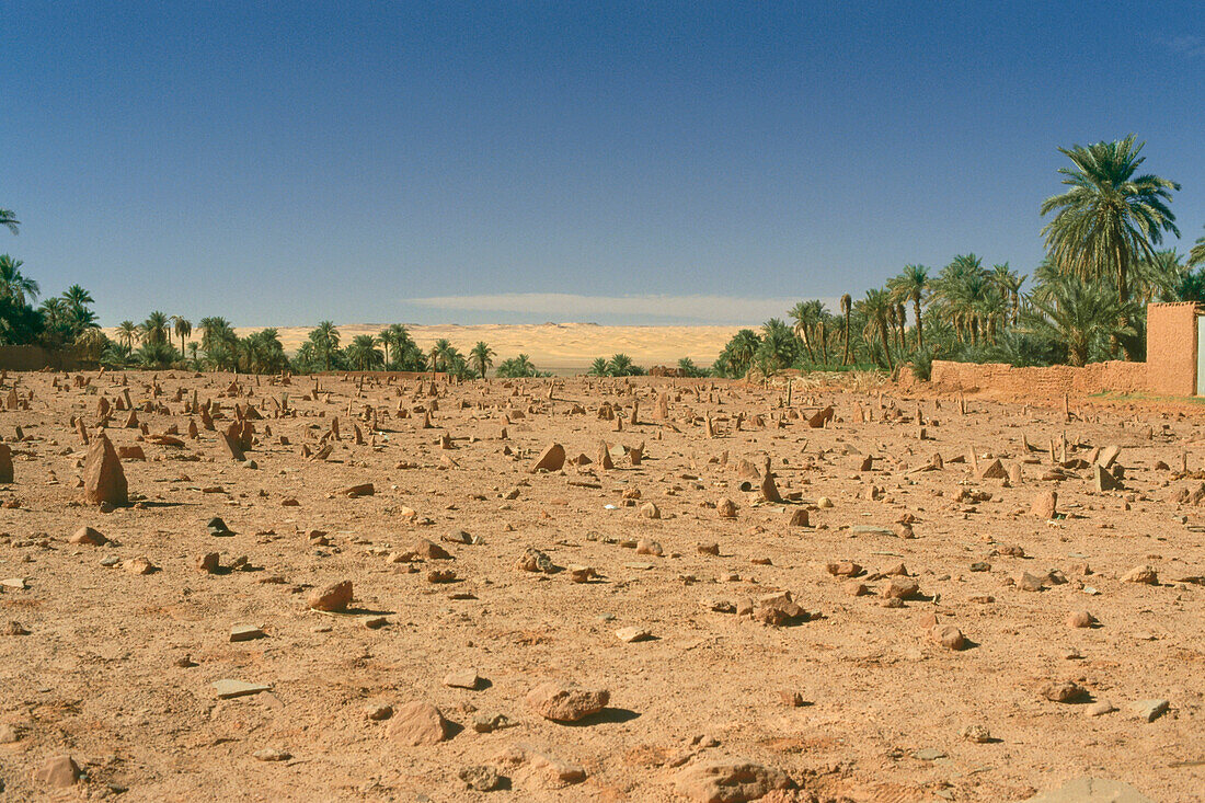 Islamischer Friedhof, Timimoun, Algerien, Afrika