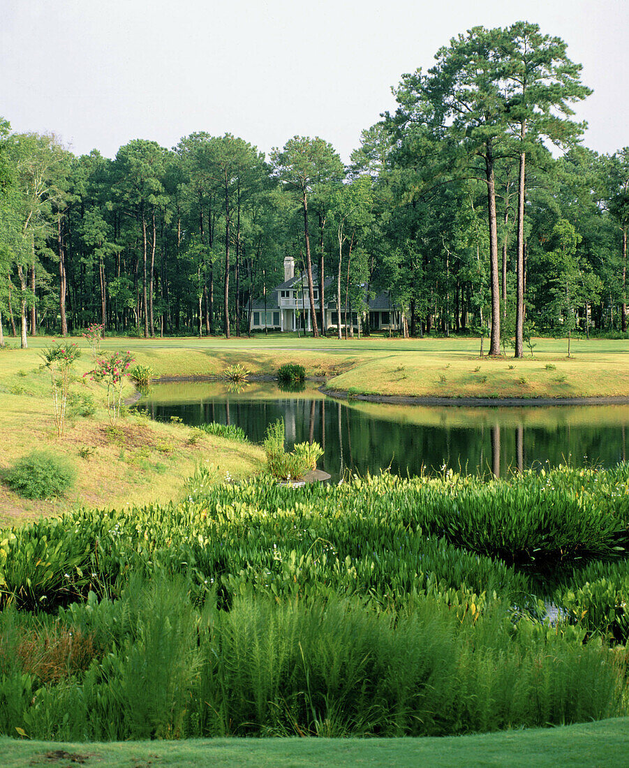 Hilton Head island. South Carolina. USA