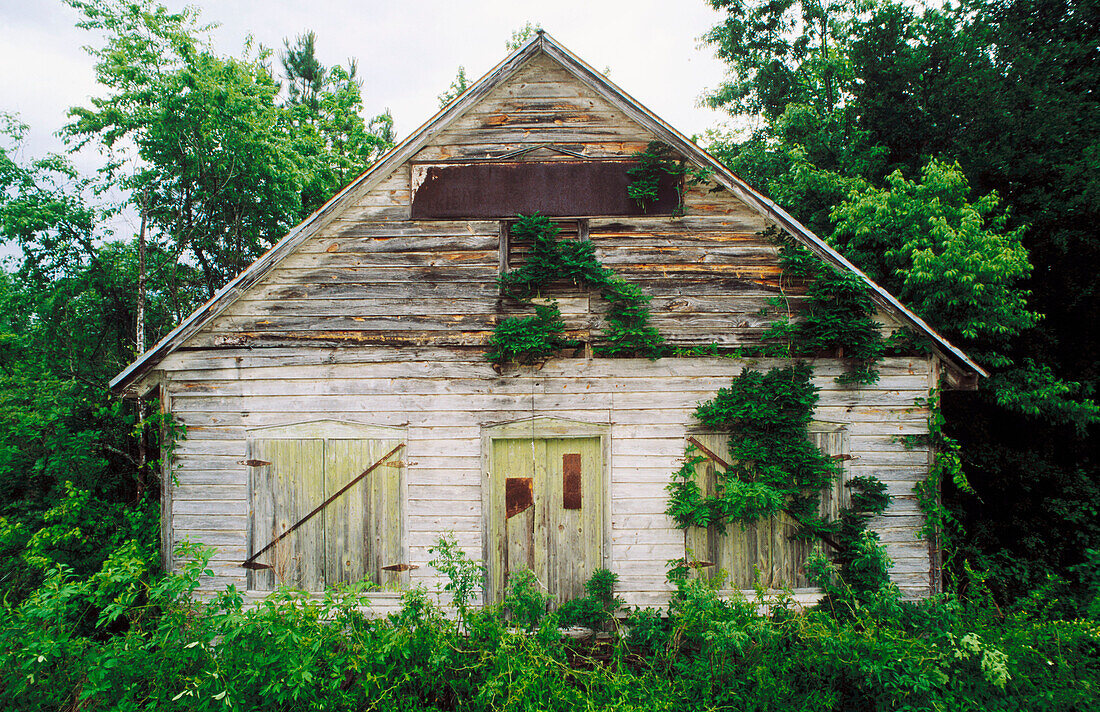 Barn in the Ace Basin Reserve. Charleston. South Carolina. USA