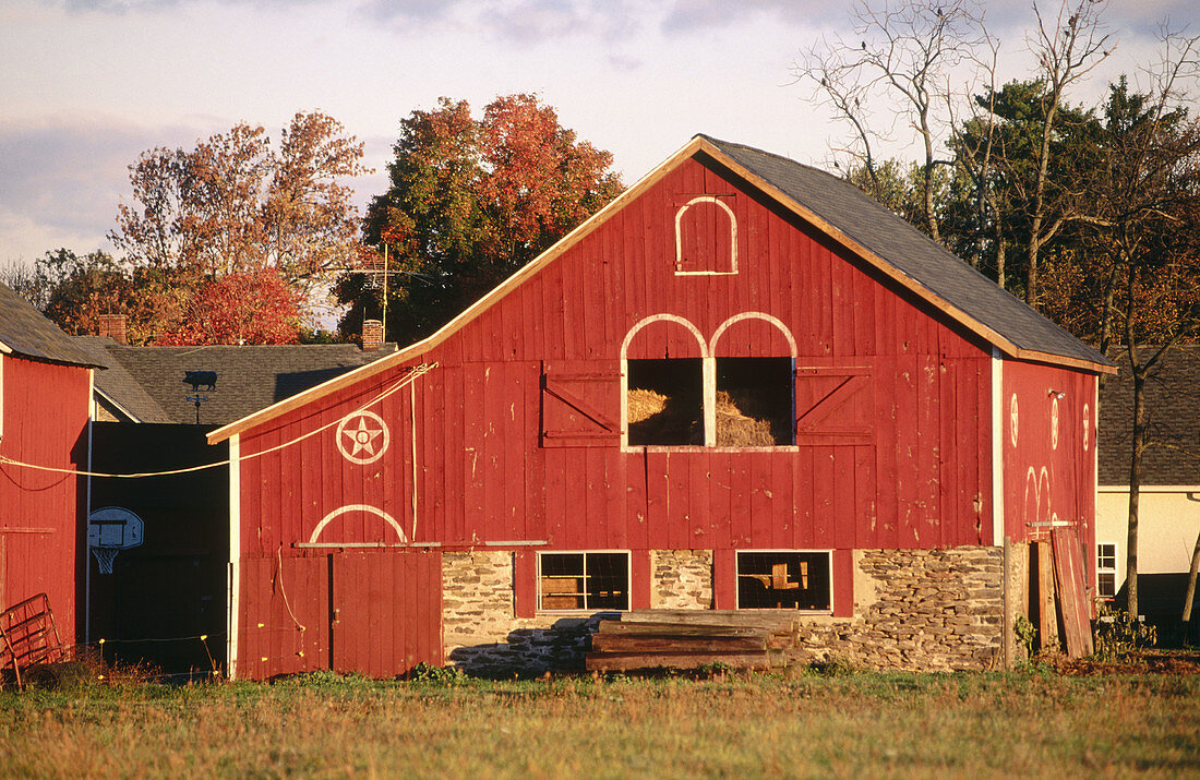 Historic red barn built in 1800 s. Bucks County, Pennsylvania, USA