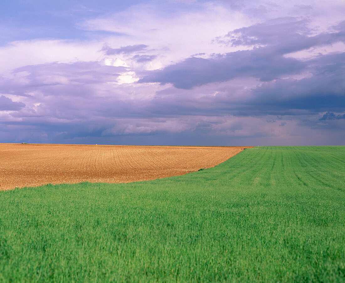 Albacete province. Spain