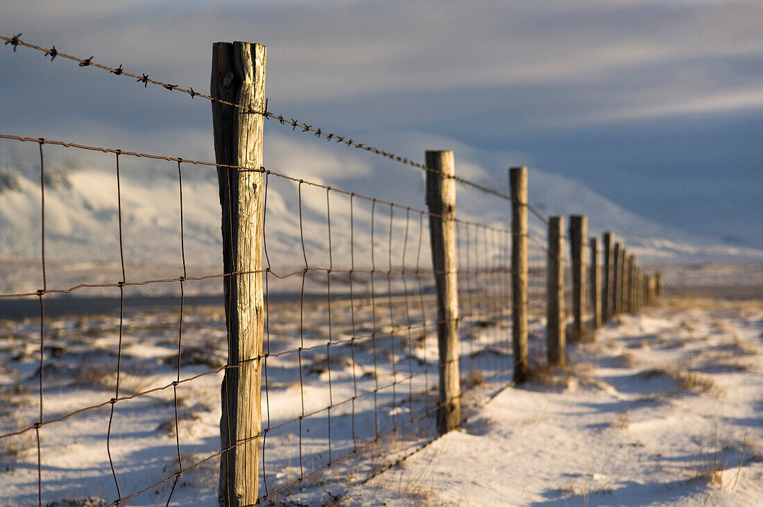 Fence, Iceland