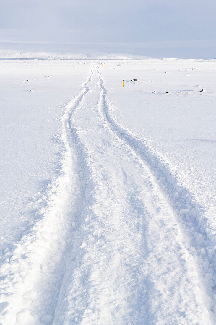 Autospur im Schnee, Island