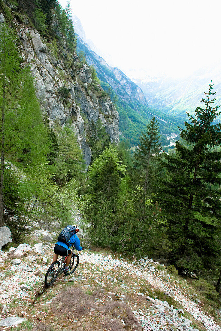 Mountain biker riding downhill, Triglav National Park, Slovenia