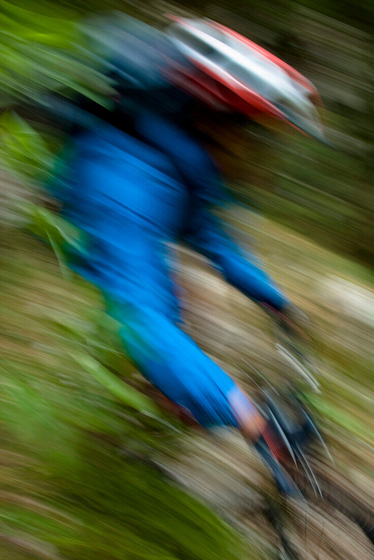 Mountainbiker fährt bergab über eine Wiese, Nationalpark Triglav, Slowenien