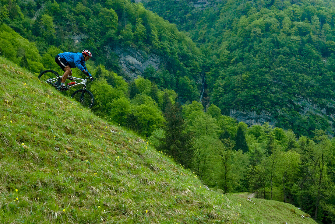 Mountain biker riding downhill over a meadow, Triglav National Park, Slovenia