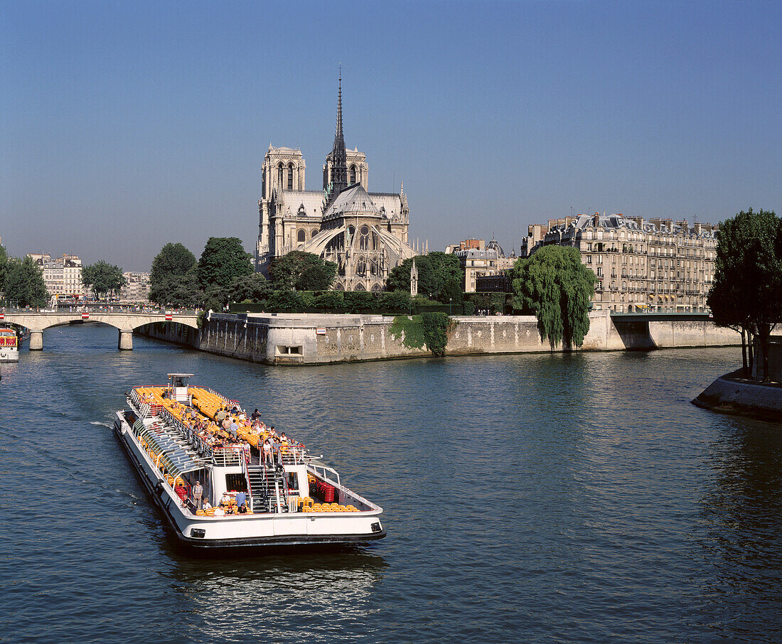 Notre-Dame Cathedral and Seine River. Paris. France