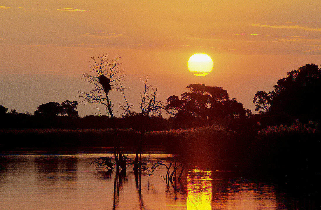 Kruger National Park, view of Sabie River at sunset, South Africa