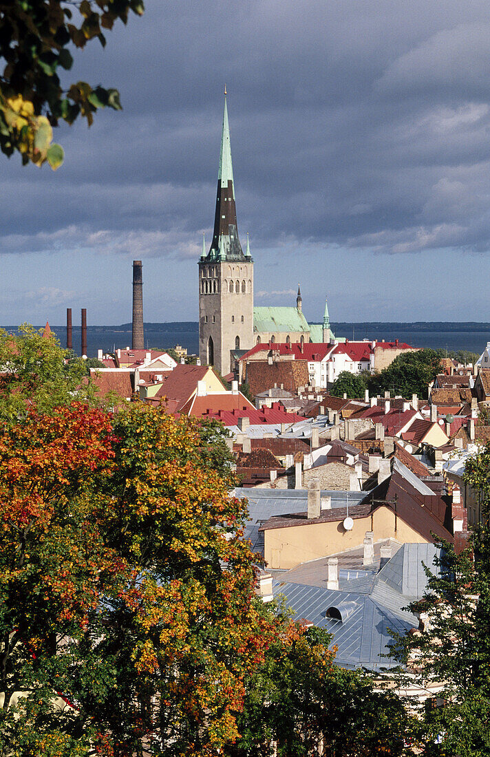 Saint Olaf church in background. Tallin. Estonia.