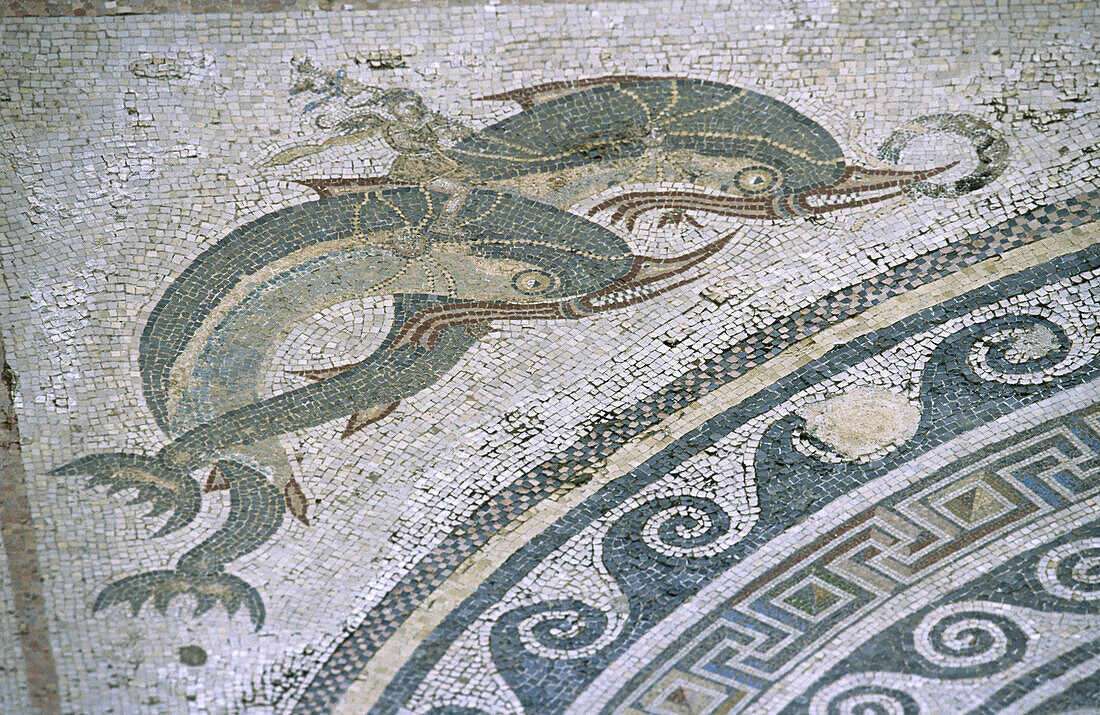 Mosaic in House of Dophins . Delos. Cyclades Islands. Greece