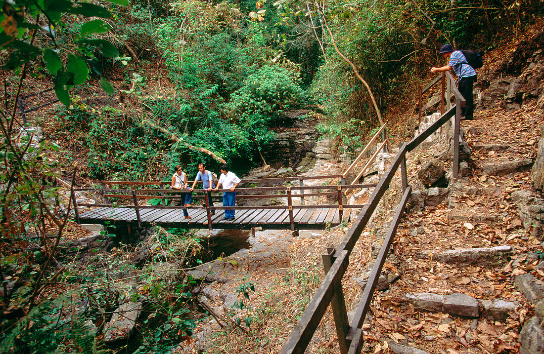 Fundación Pro-Bosque. Cerro blanco. Guayaquil. Guayas province. Ecuador