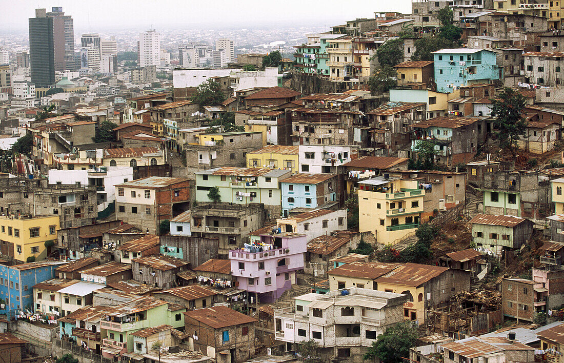 Poor suburban district. Cerro del Carmen. Guayaquil. Guayas province. Ecuador