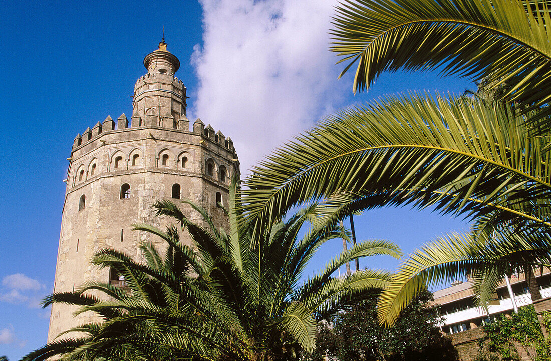 Torre del oro. Sevilla. Andalusia. Spain