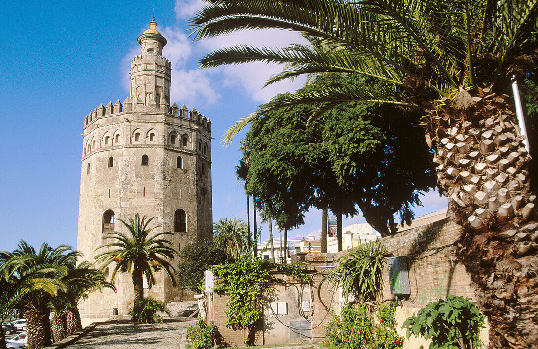 Torre del oro. Sevilla. Andalucia. Spain