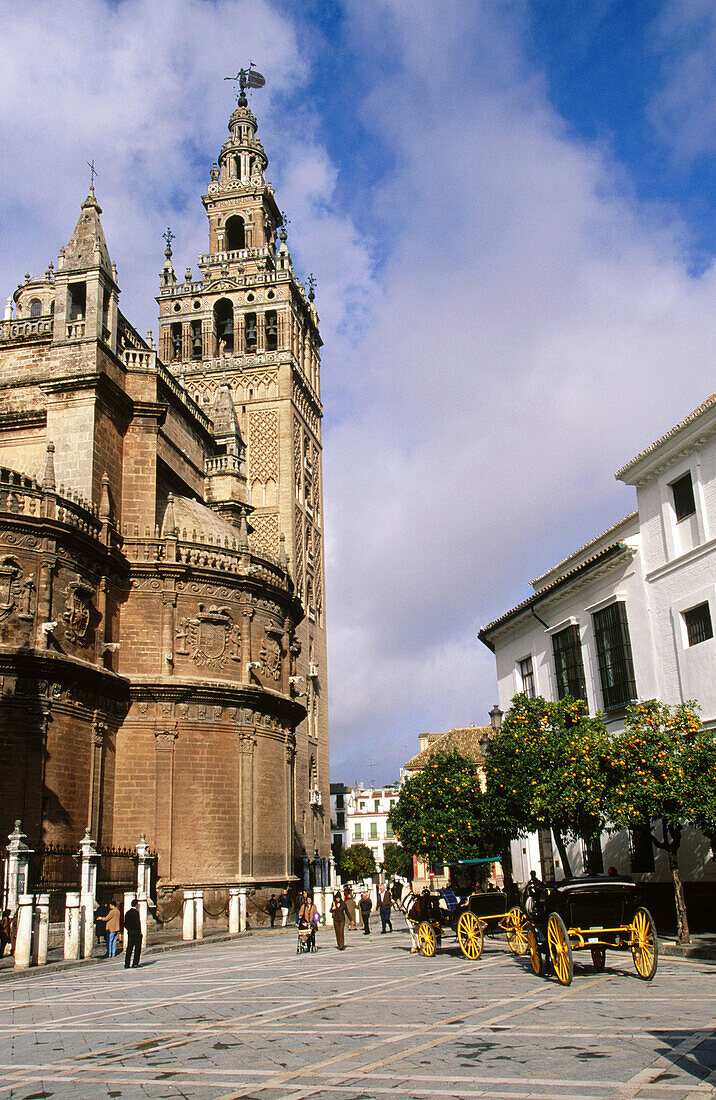 Giralda and Cathedral. Plaza Virgen de los Reyes. Sevilla. Andalusia. Spain