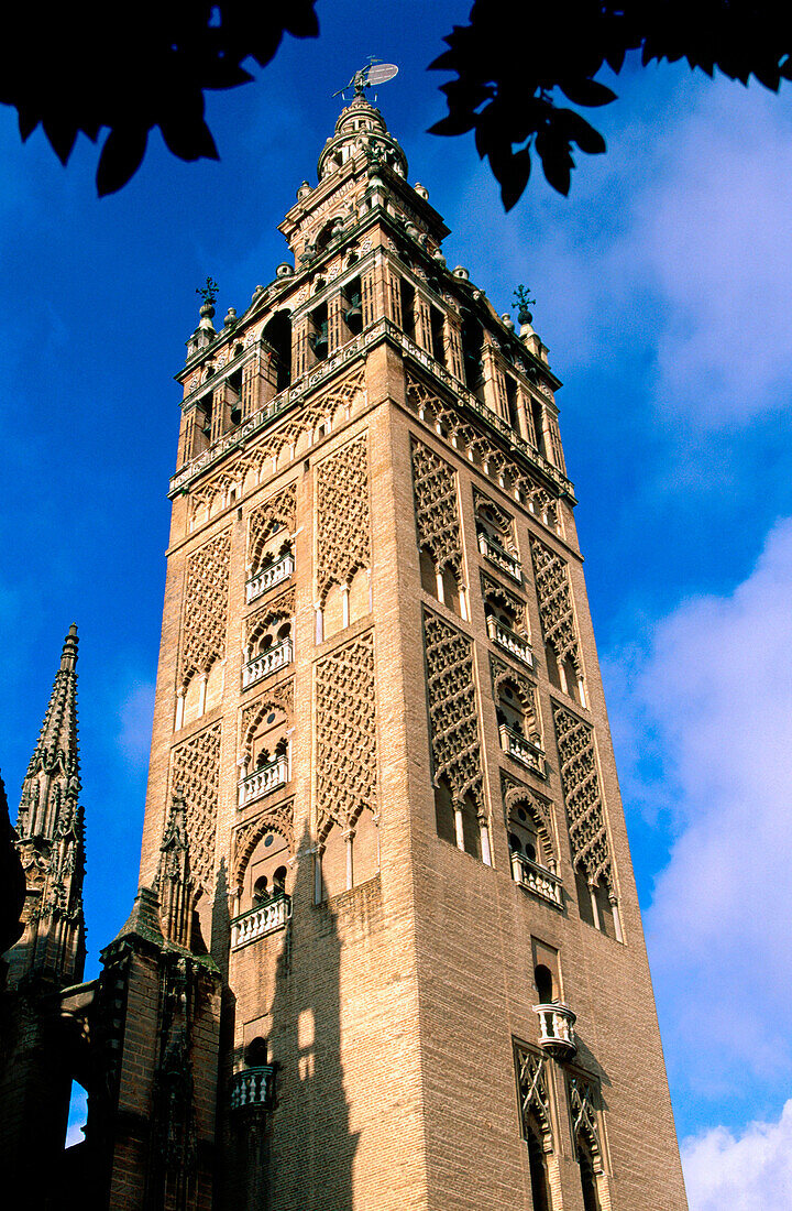 Giralda tower and Cathedral. Seville. Andalusia. Spain