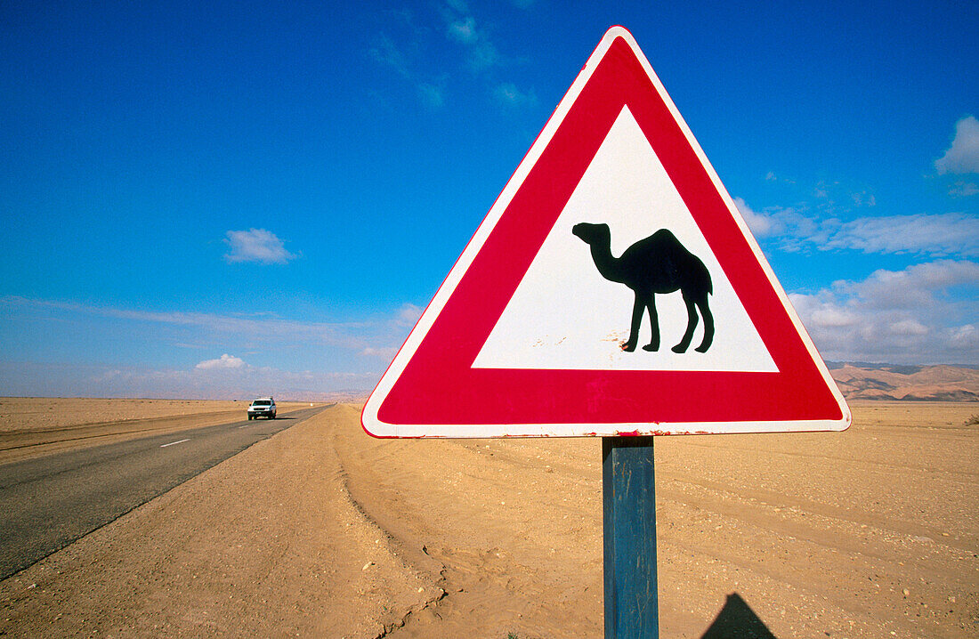 Camel crossing road sign. Tunisia