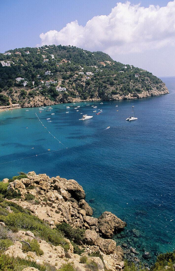 Cala San Vicente. Ibiza. Balearic Islands. Spain.