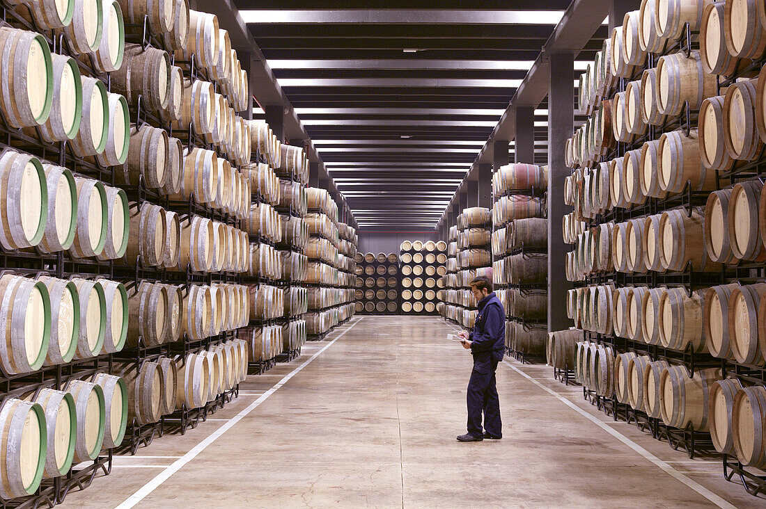 View of Juan Alcorta s Winery. La Rioja. Spain