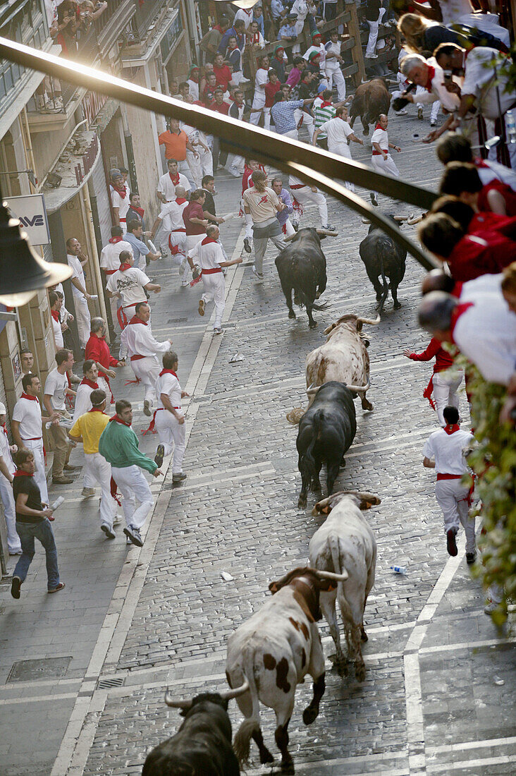 Running of the bulls. San Fermin. Pamplona. Navarre. Spain