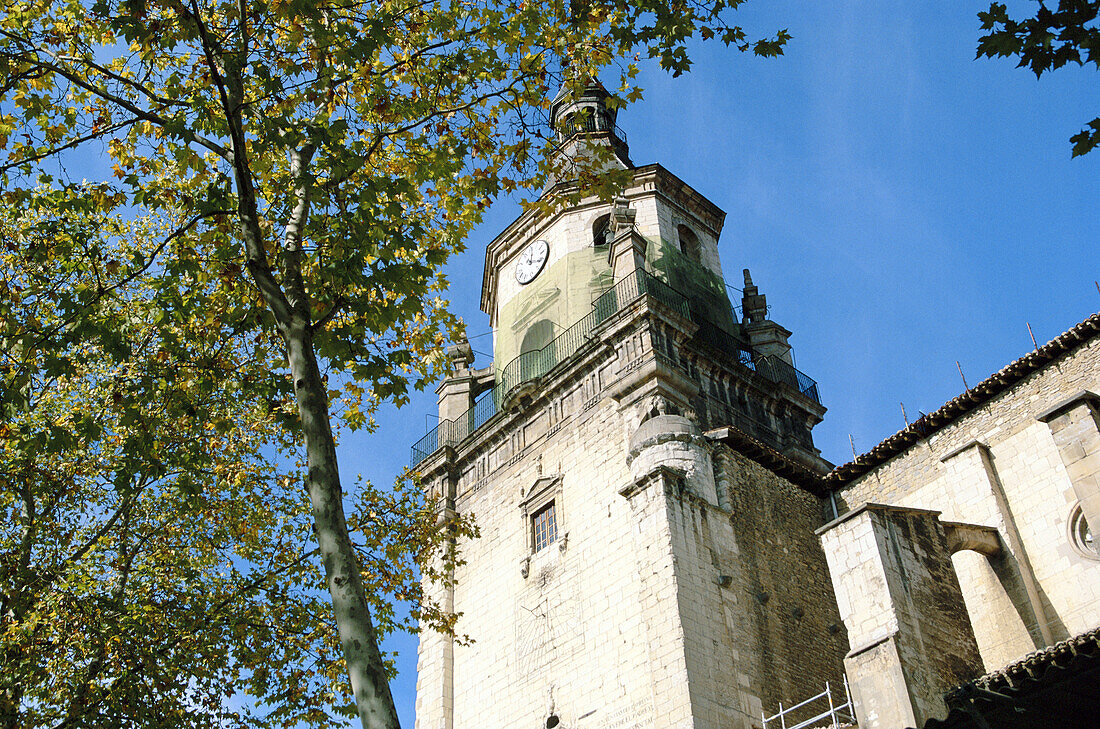 Gothic Cathedral of Santa María. Vitoria. Alava. Basque Country. Spain