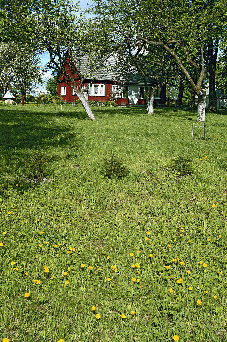 Traditional farm. Nemuno kilpos regional park area. Lithuania