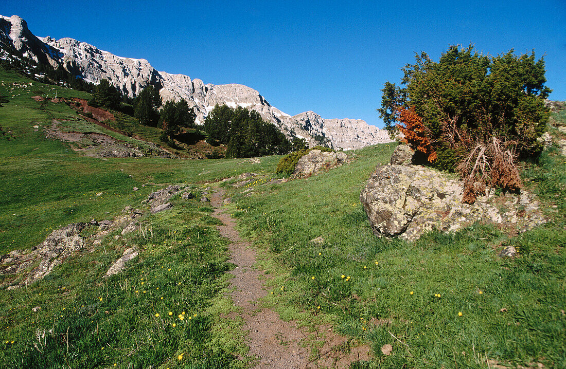 Ascention to Pas dels Gosolans (2430mts). Pic de Costa Cabirolera. Sierra del Cadí. Cadí-Moixeró Natural Park. La Cerdanya. Girona Province. Catalonia. Spain