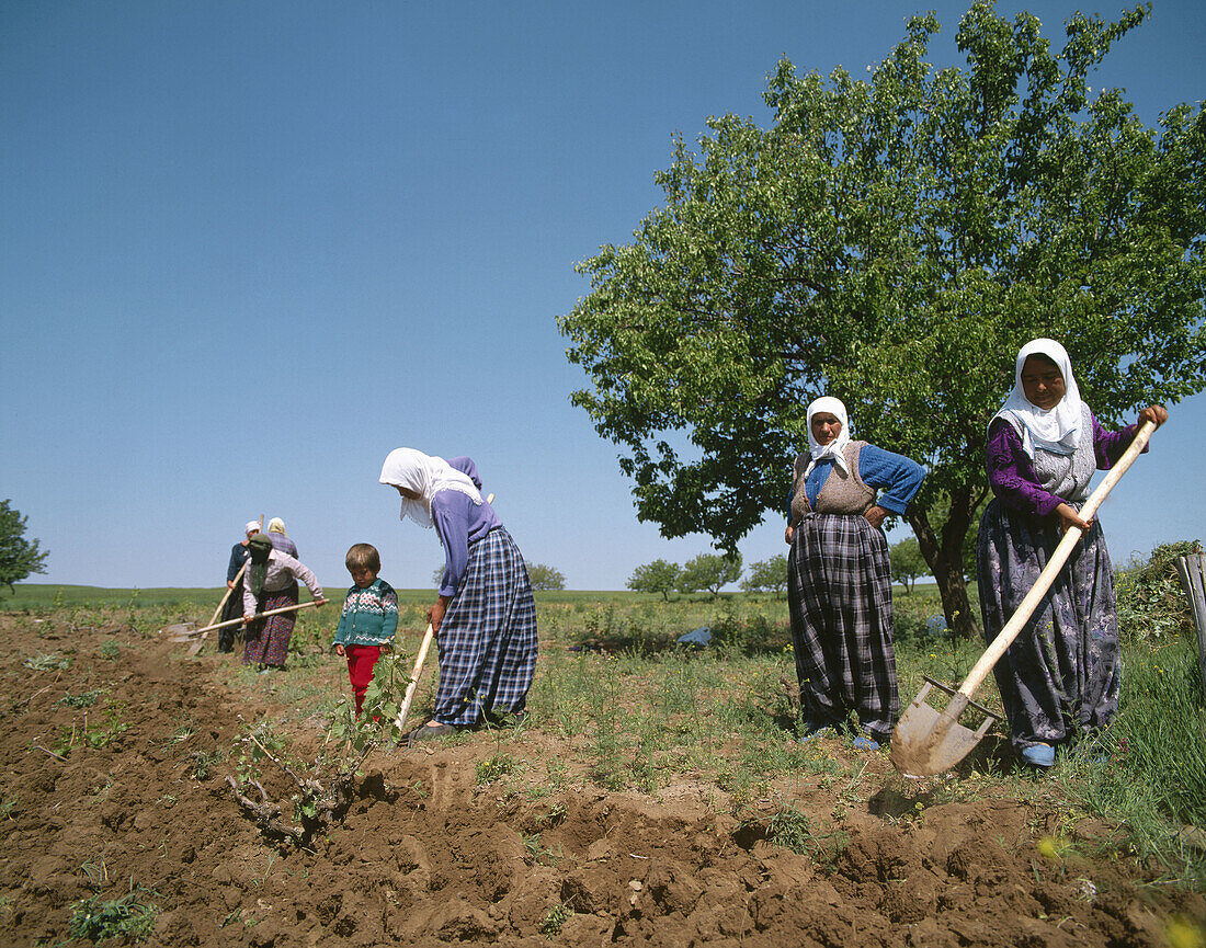 Women working.Turkey