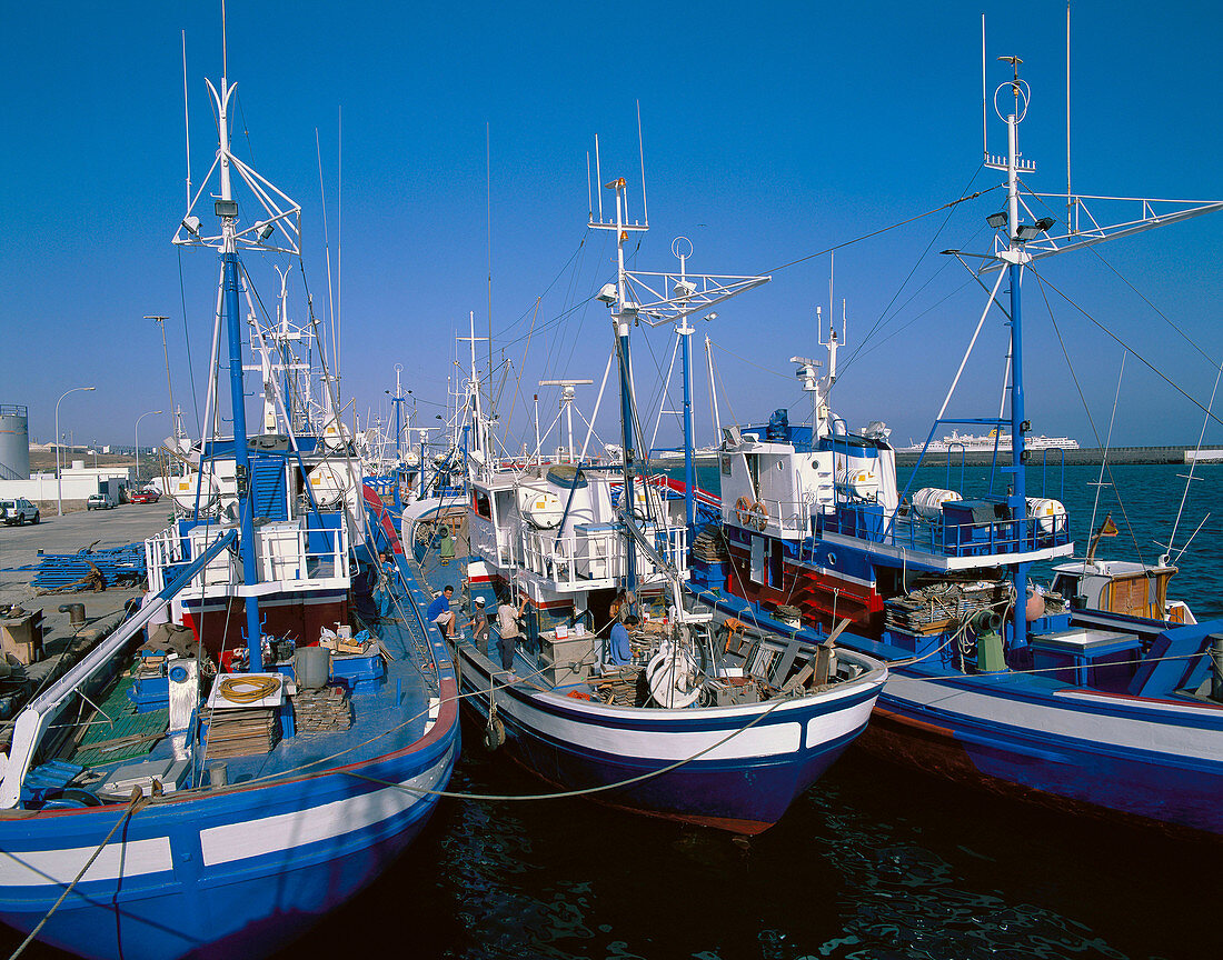 Fishing port. Arrecife. Lanzarote, Canary Islands. Spain