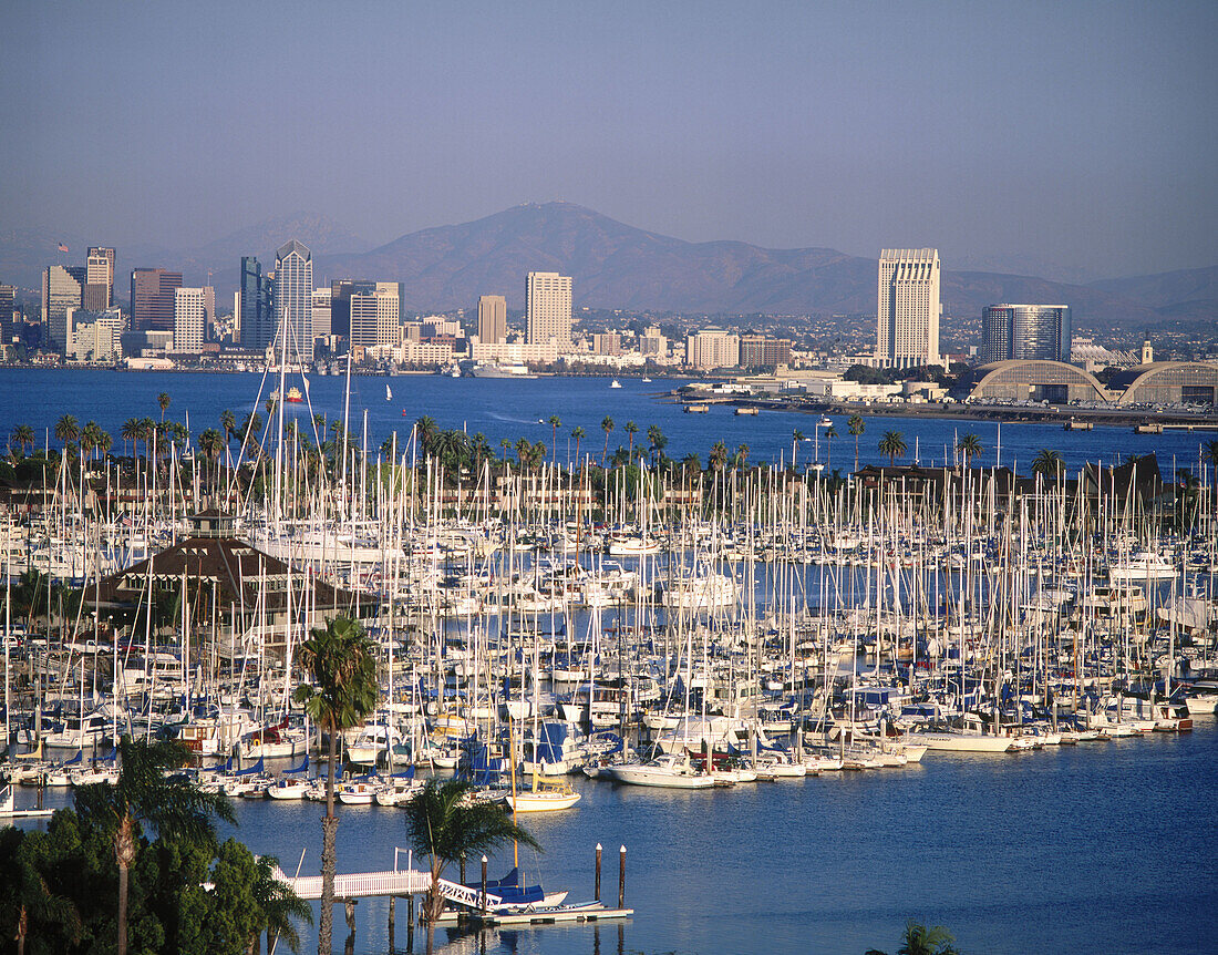 San Diego. California. USA.