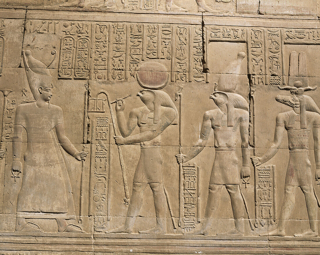 Relief detail. Kom Ombo temple. Egypt